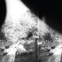 Godspeed You Black Emperor : 'Asunder, Sweet And Other Distress'